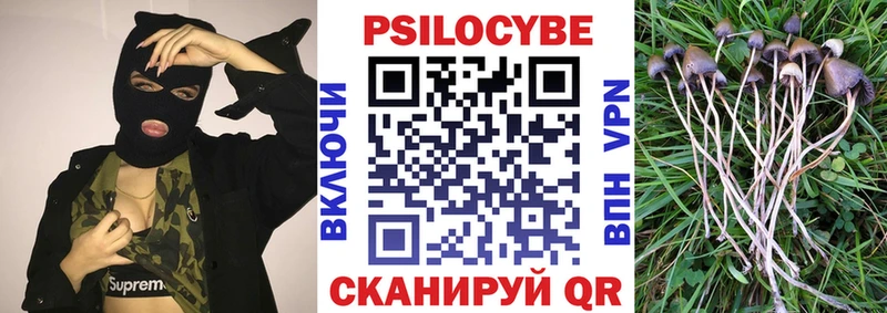 Галлюциногенные грибы прущие грибы  дарк нет клад  Суоярви  mega онион 